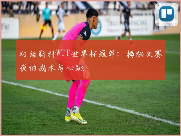 对话新科WTT世界杯冠军：揭秘决赛夜的战术与心跳