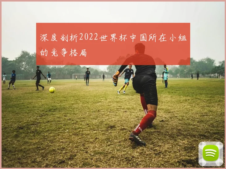 深度剖析2022世界杯中国所在小组的竞争格局