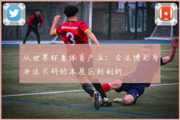 从世界杯看体育产业：合法博彩与非法买码的本质区别剖析