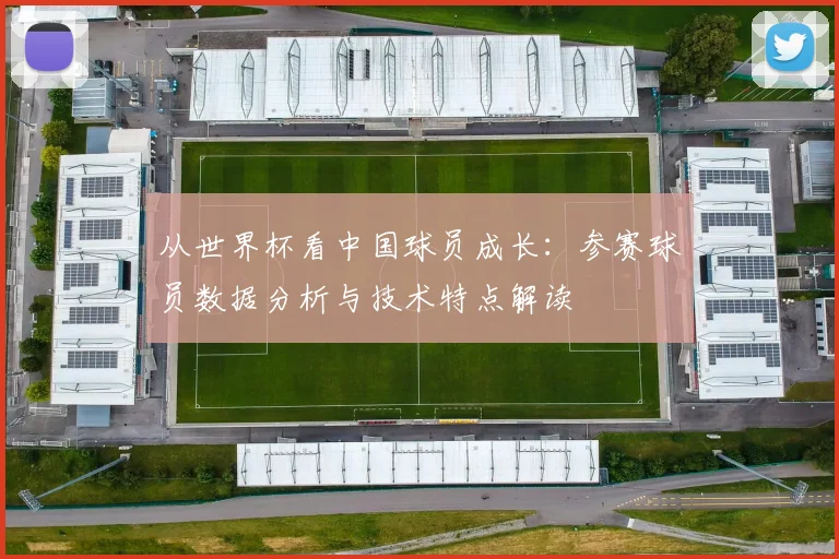 从世界杯看中国球员成长：参赛球员数据分析与技术特点解读